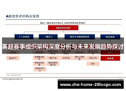 英超赛事组织架构深度分析与未来发展趋势探讨 英超赛事组织架构深度分析与未来发展趋势探讨