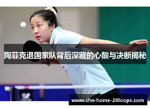 陶菲克退国家队背后深藏的心酸与决断揭秘