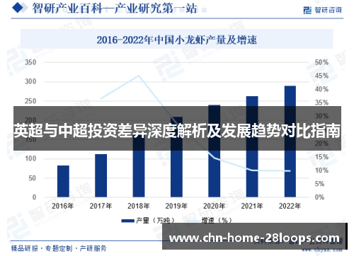 英超与中超投资差异深度解析及发展趋势对比指南 英超与中超投资差异深度解析及发展趋势对比指南