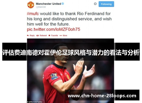 评估费迪南德对霍伊伦足球风格与潜力的看法与分析
