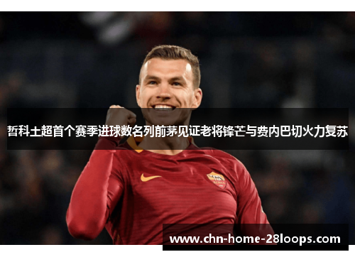 哲科土超首个赛季进球数名列前茅见证老将锋芒与费内巴切火力复苏